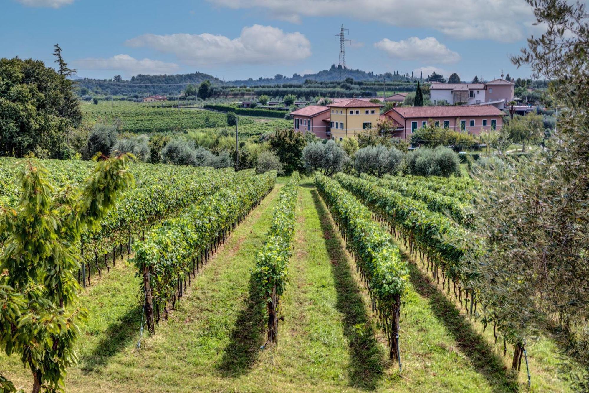 Tenuta Di Palu Бардолино Екстериор снимка